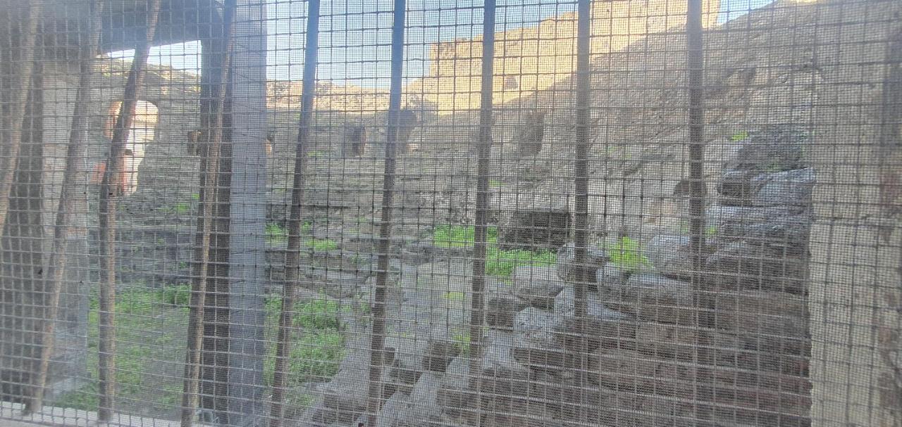 Domus Odeon La Casa Nel Parco Archeologico Di Catania Apartment Ngoại thất bức ảnh